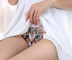 sexy-kitty-panties