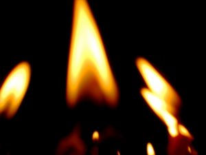 4fb177db17d17IMG_1974_large_medium